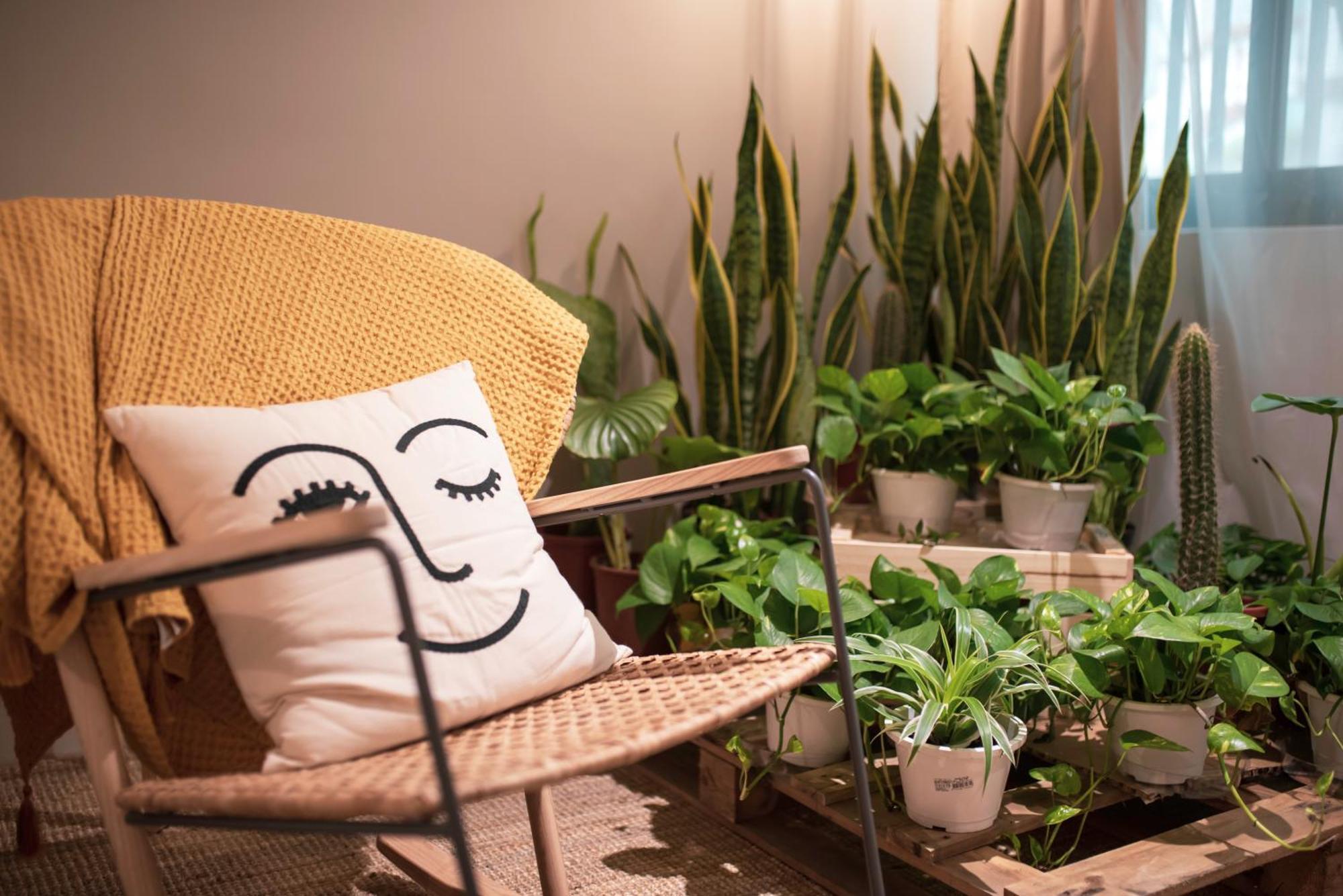 微趣 Wechill Hotel Đài Nam Phòng bức ảnh